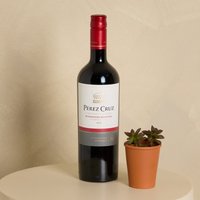Perez Cruz Red Wine and Organic Succulent