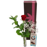 Single Red Rose Gift Set