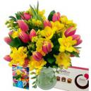 Tulip and Freesia Gift Set