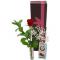 Single Red Rose Gift Set