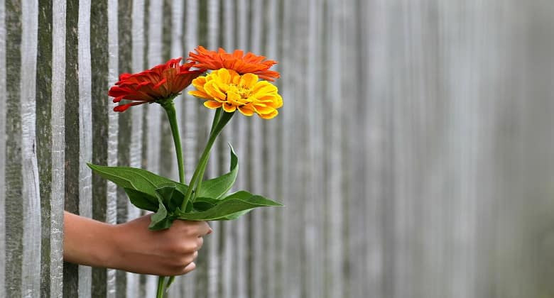 Cheap Flower Delivery Guide: How to Send Beautiful Flowers for Less