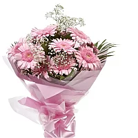Pink Glamour Gerberas