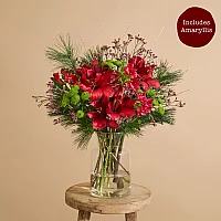 Red amaryllis Christmas flower bouquet with alstroemeria and santini