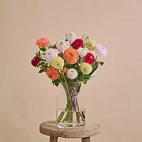 Next Day Flower bouquet with dahlias