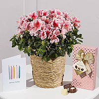 Happy Birthday Azalea Gift