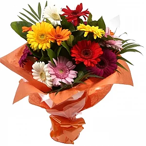 Princess Gerbera Bouquet
