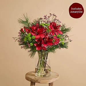 Red amaryllis Christmas flower bouquet with alstroemeria and santini
