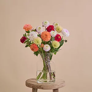 Flower bouquet with dahlias