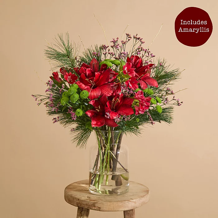 Red amaryllis Christmas flower bouquet with alstroemeria and santini