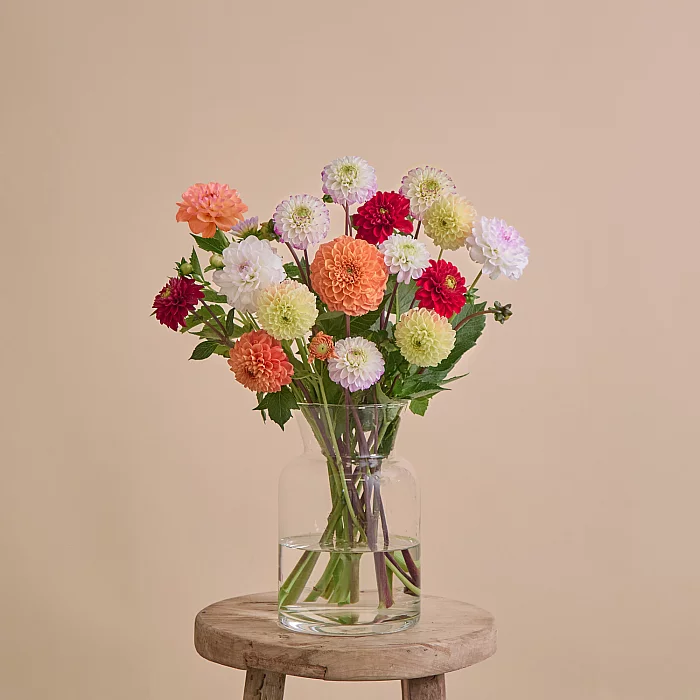 Next Day Flower bouquet with dahlias